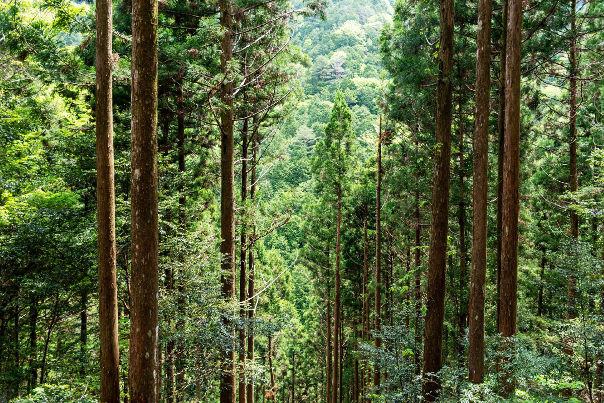 大瀬良 勇一さん