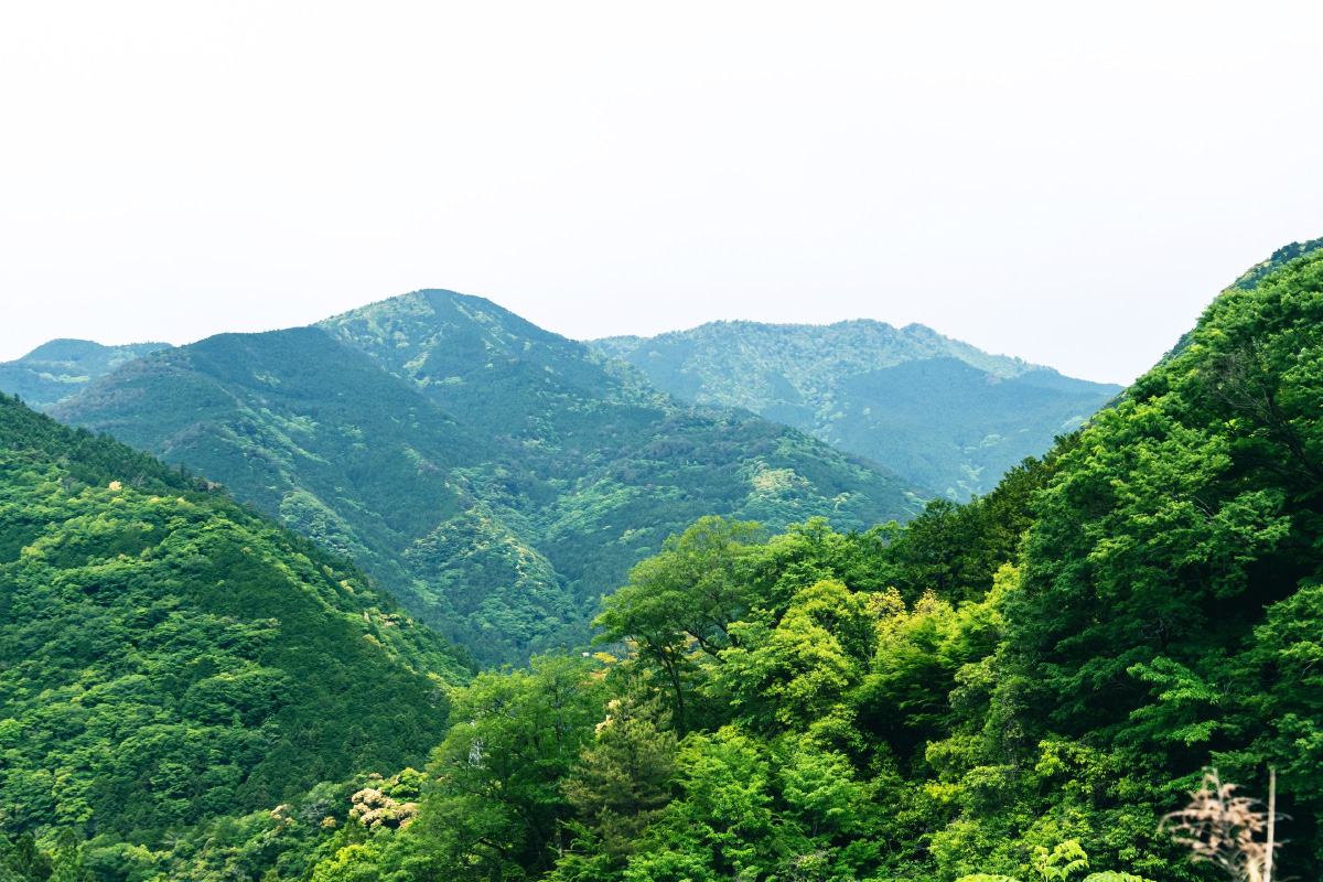 道願 幸治郎さん